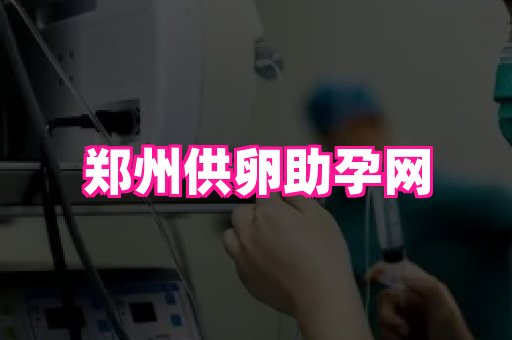 123试管孕网 3