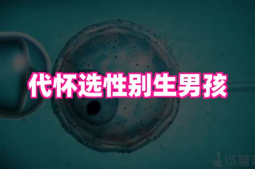 123试管孕网 4